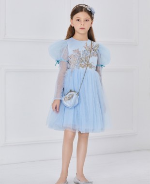 蓝色网纱长袖蕾丝刺绣公主短裙连衣裙