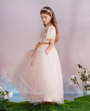 粉色蕾丝细节雪纺袖子网纱长裙