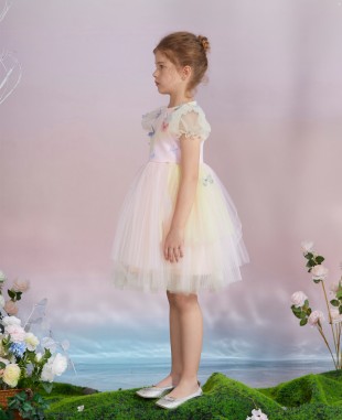 粉色蝴蝶网纱公主短裙礼服裙